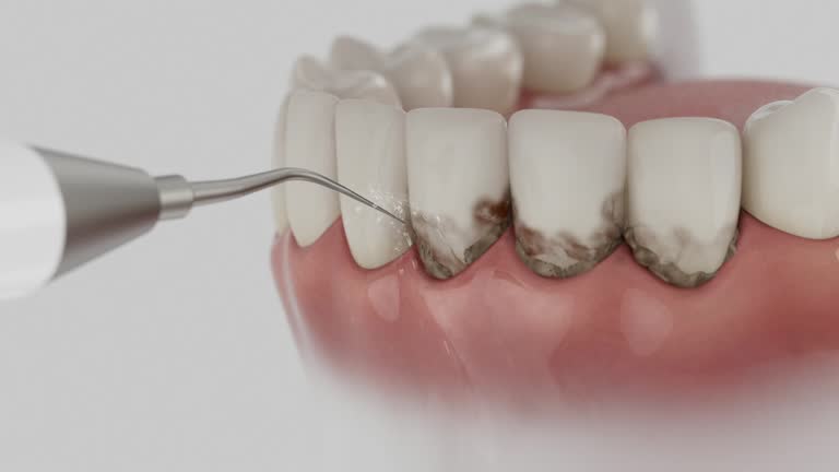 Reliable Dental contractor in Reynolds Heights, PA by Dentist Open Now